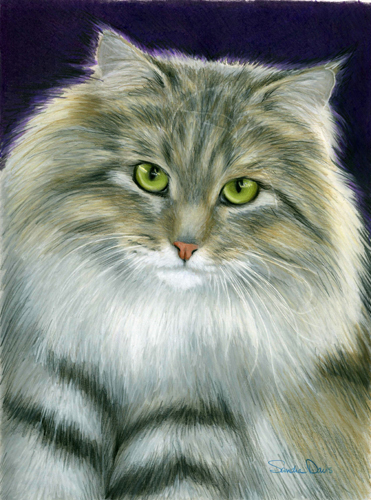 Sandra Davis, Heron, Color Pencil